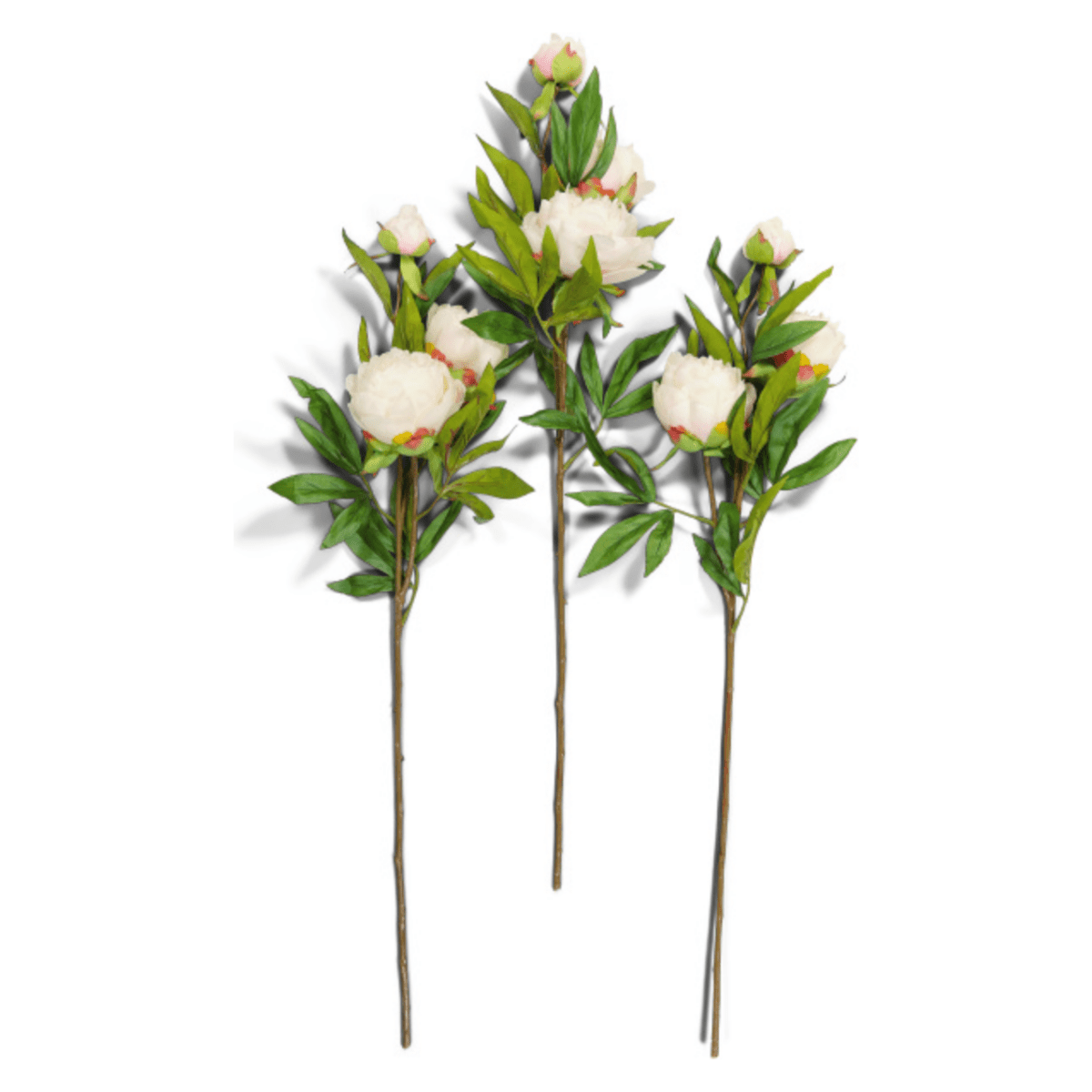 29" Echt-Touch Pfingstrosenstiel mit Knospe (Set von 3)