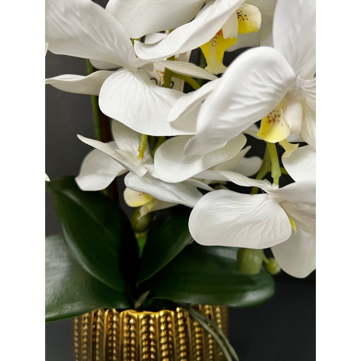 3 Stiele Weiße Orchideen Arrangement in einem Goldtopf