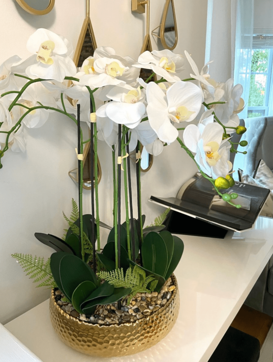 6 Stängel Phalaenopsis Orchideen Arrangement in Gold Keramik Vase