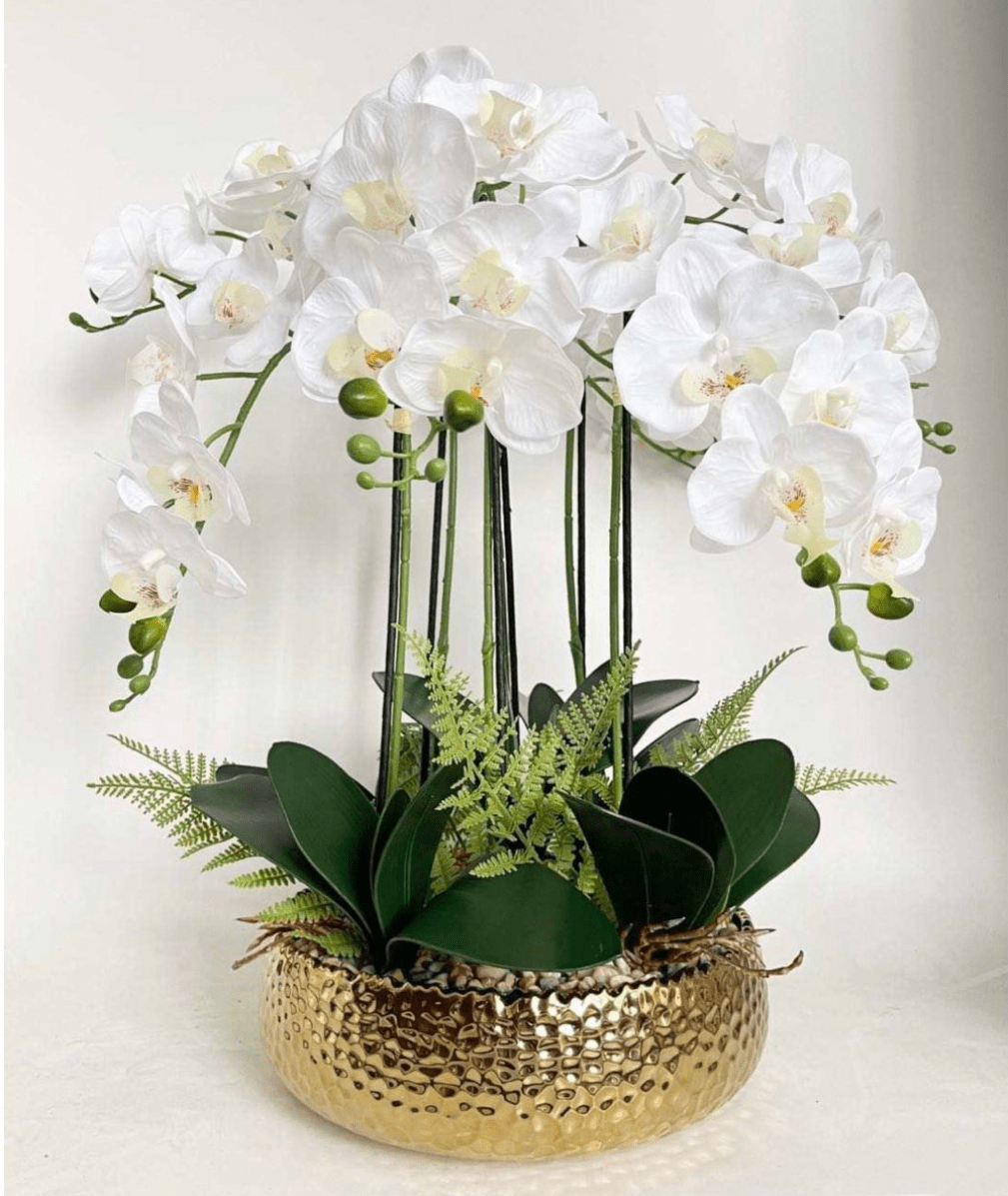 6 Stängel Phalaenopsis Orchideen Arrangement in Gold Keramik Vase