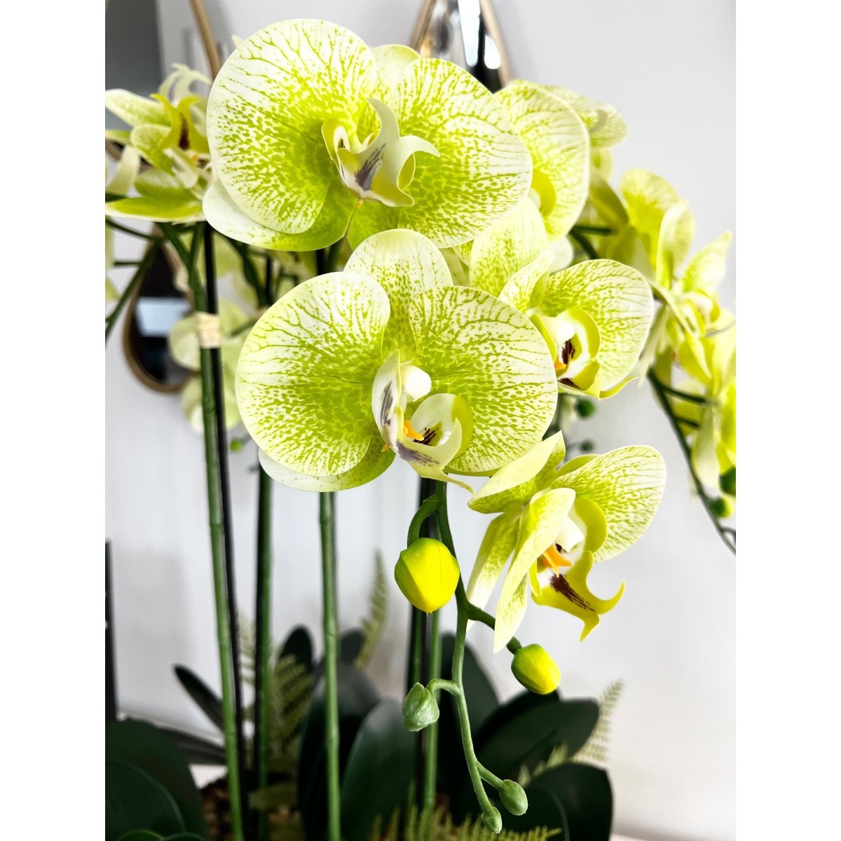 6 Stängel Phalaenopsis Orchideen Arrangement in Gold Keramik Vase