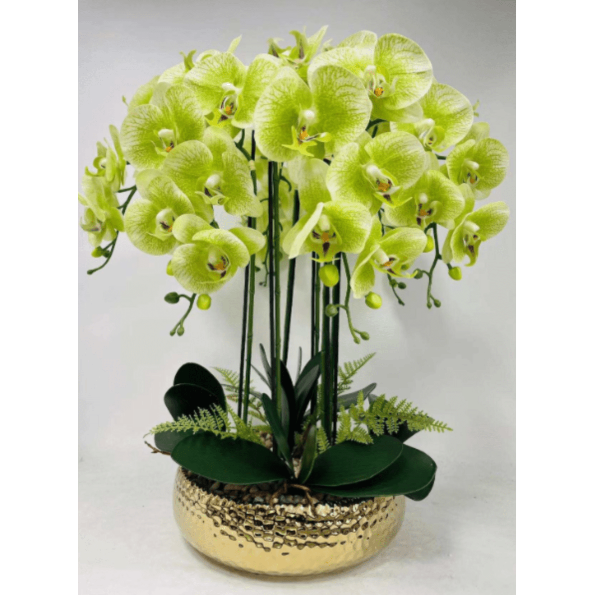 6 Stängel Phalaenopsis Orchideen Arrangement in Gold Keramik Vase