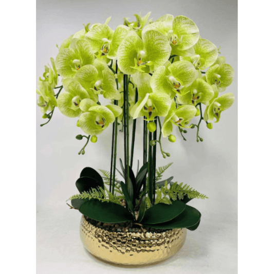 6 Stängel Phalaenopsis Orchideen Arrangement in Gold Keramik Vase