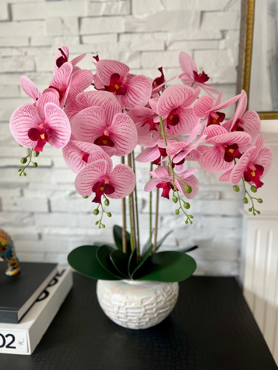 Echte Berührung Phalaenopsis Orchideen Arrangement