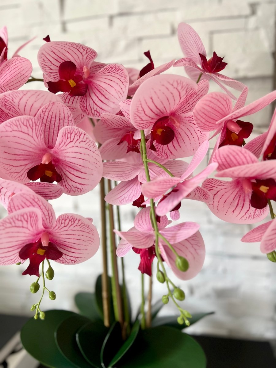 Echte Berührung Phalaenopsis Orchideen Arrangement