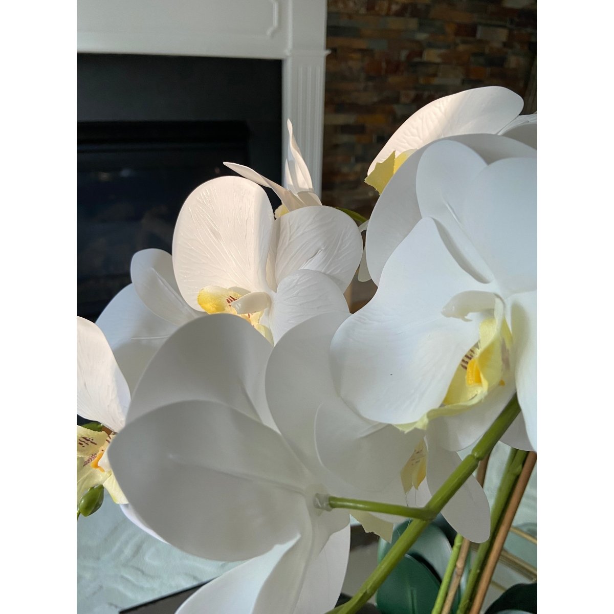Echte Berührung Phalaenopsis Orchideen Arrangement